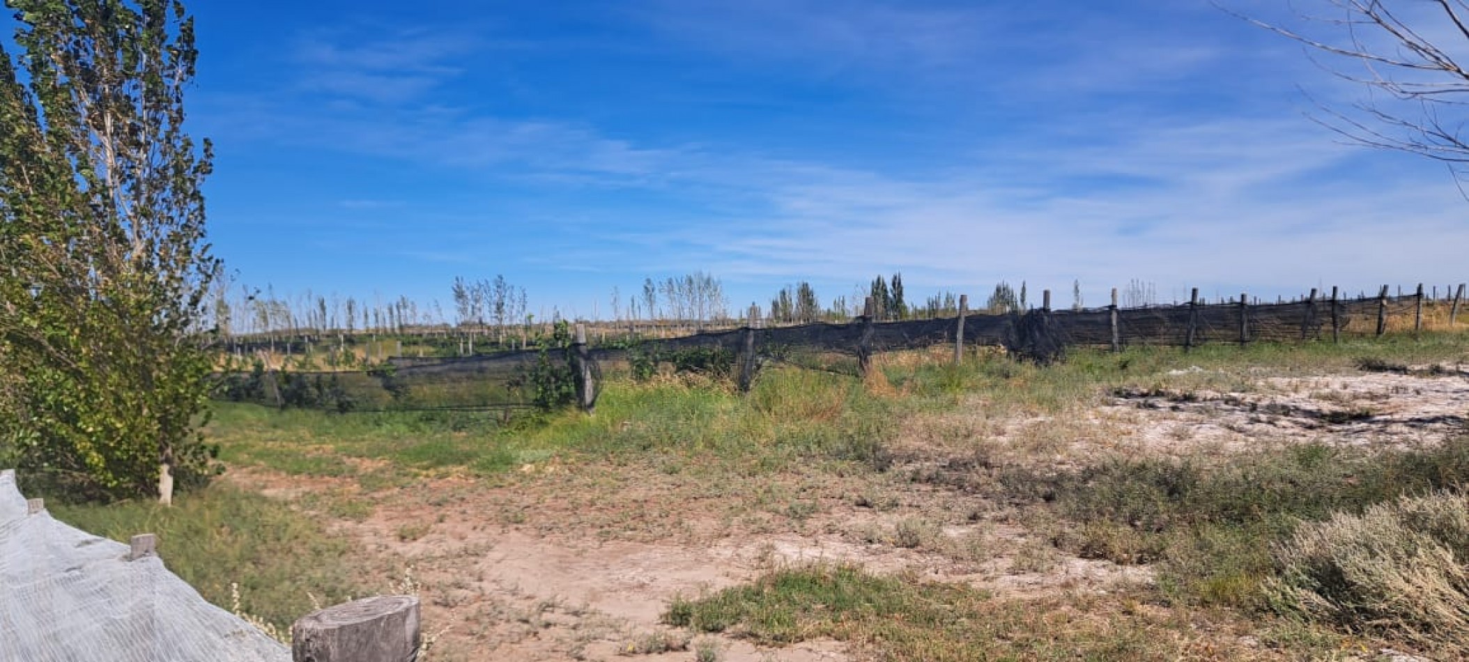 EN VENTA PARCELA EN GOB. DUVAL A ORILLA DEL RIO COLORADO-PARCELA 7-CHACRA 1