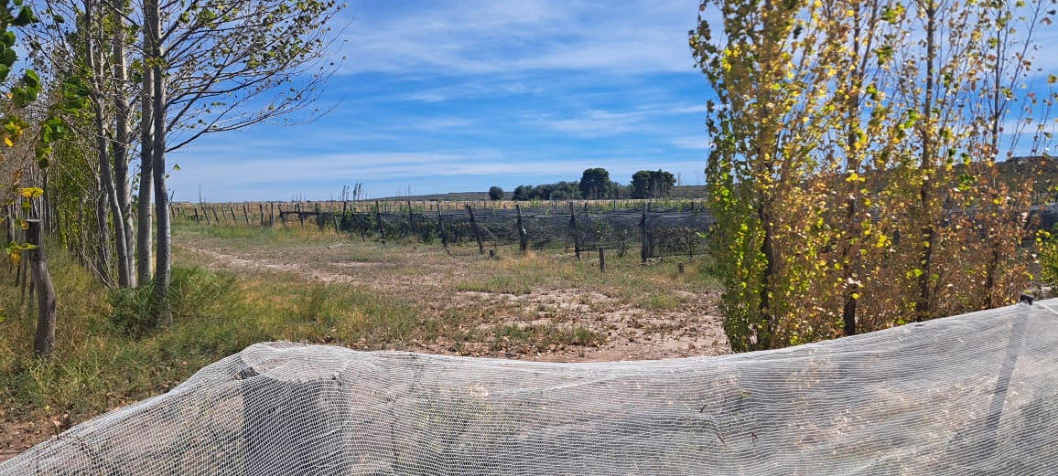 EN VENTA PARCELA EN GOB. DUVAL A ORILLA DEL RIO COLORADO-PARCELA 7-CHACRA 1